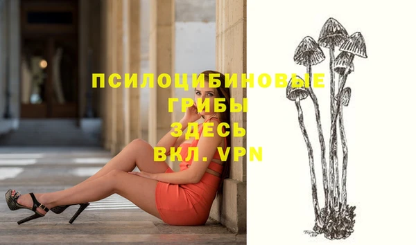 бутират Няндома
