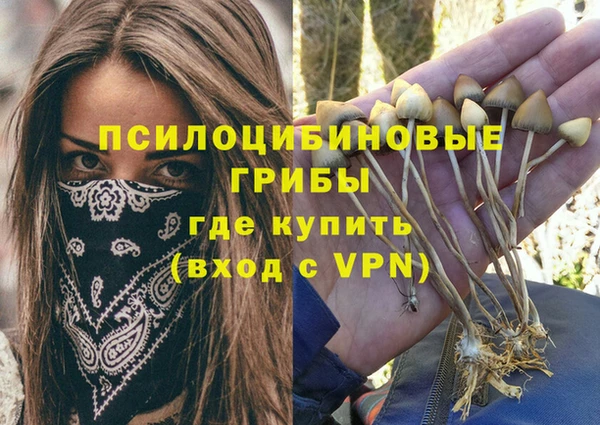 спайс Нязепетровск