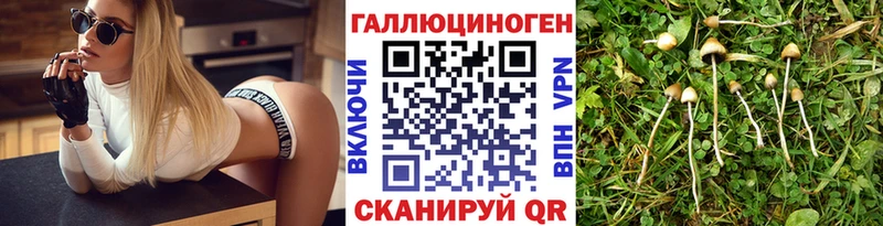 Псилоцибиновые грибы Magic Shrooms  Купить где  Полтавская 